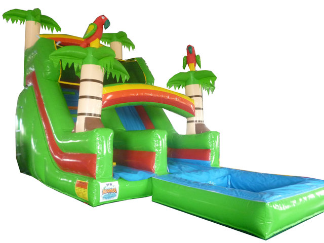 18ft Amazon Slide w/ Pool 18ft Amazon Slide w/ Pool